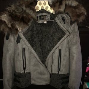 Winter Jacket